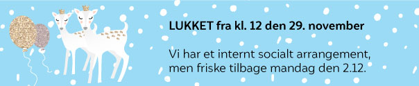 Lukket den 29. november 2024 fra kl. 12